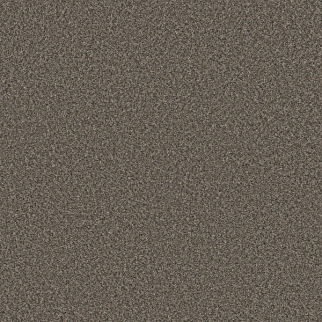 Shaw Floors Soft Radiance Tree Bark SHAW