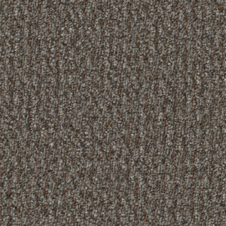 Shaw Floors Prelude Voluntary SHAW