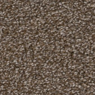 Shaw Floors Truspirit I Chestnut SHAW