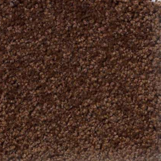 Shaw Floors Magic At Last IV 12' Cocoa SHAW