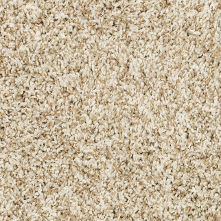 Mohawk Carpet Purrsonality I Coconut Mohawk