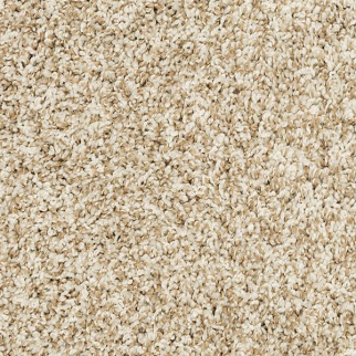 Mohawk Carpet Raise The Woof I Coconut Mohawk