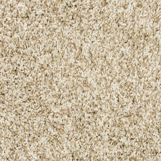 Mohawk Carpet Canine Chic Coconut Mohawk