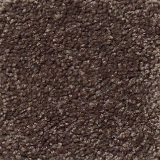 Shaw Floors That's Right Maple SHAW