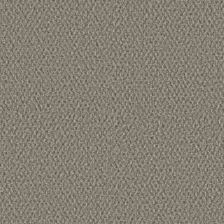 Shaw Floors StoneBrook Natures Design SHAW