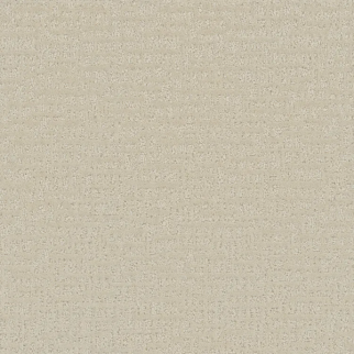 Phenix Carpets Sonder Recognition PHENIX