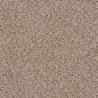 Dreamweaver Carpet Sweepstakes Claystone DREAMWEAVER