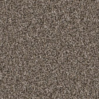 Shaw Floors Affirmation II Havana SHAW