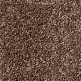 Shaw Floors What's Up Sedona SHAW