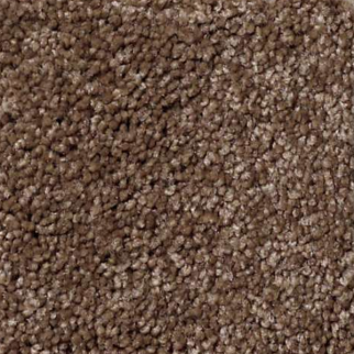 Shaw Floors That's Right Sedona SHAW