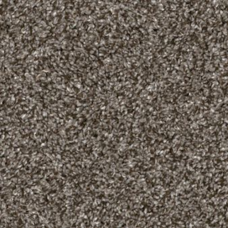 Shaw Floors Yes You Can I 12' Urban Rustic SHAW