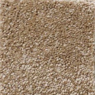 Shaw Floors That's Right Bridgewater Tan SHAW