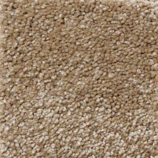 Shaw Floors What's Up Bridgewater Tan SHAW