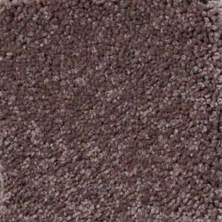 Shaw Floors Magic At Last III 15' Chinchilla SHAW