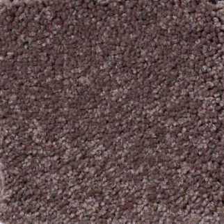 Shaw Floors Magic At Last IV 12' Chinchilla SHAW