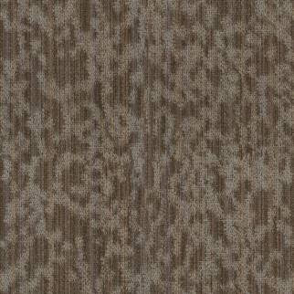 Philadelphia Commercial Folium Canopy Shaw