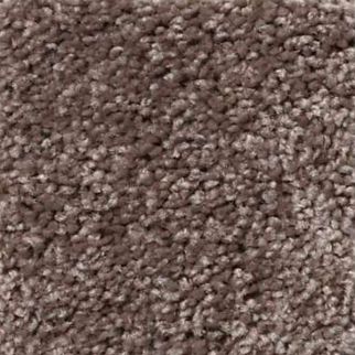 Shaw Floors All Star Weekend I 12' Molasses SHAW