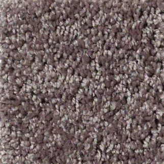 Shaw Floors Full Court 12 Molasses SHAW