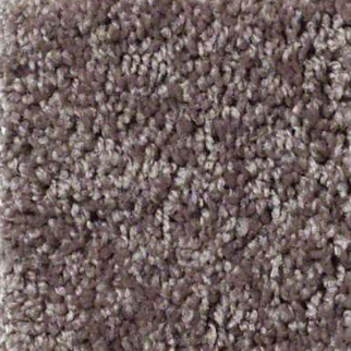 Shaw Floors Full Court 15 Molasses SHAW