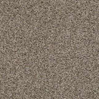 Shaw Floors Break Away (T) Nature Trail SHAW