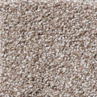 Shaw Floors What's Up Sombrero SHAW