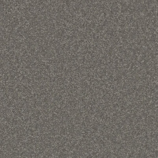 Shaw Floors Awaken Spirit I 12' Taupetone SHAW