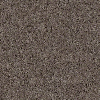 Shaw Floors Break Away (S) Weathered Wood SHAW