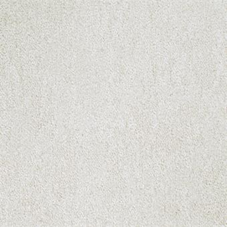 Masland Carpets Buena Vida Arena Masland