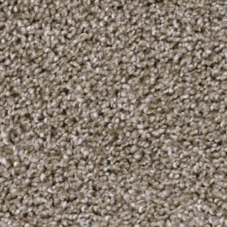 Phenix Carpets Refined Central PHENIX
