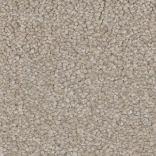 Tarkett Home Carpets Intrigue Charm LEXMARK