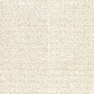 Masland Carpets Pedigree Dog-Gone It Masland