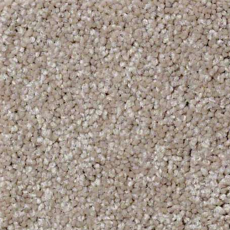 Shaw Floors Something Sweet Hickory SHAW