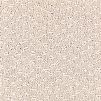 Mohawk Carpet Dynamo Swan Mohawk