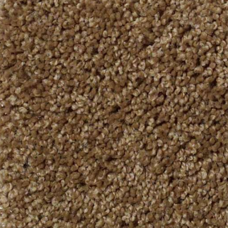 Shaw Floors Origins Travertine SHAW