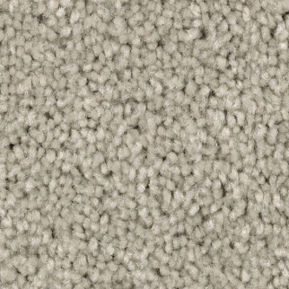 Mohawk Carpet Treasure Valley Timeless Mohawk