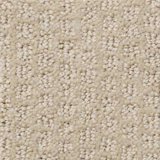 Shaw Floors Pacific Trails Agate SHAW