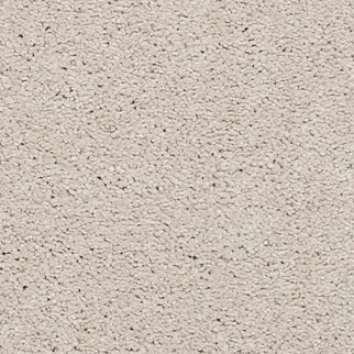 Mohawk Carpet La Jolla Cove I Surf Board Mohawk