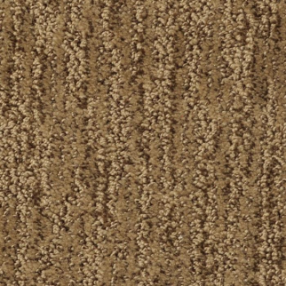 Masland Carpets Mesa Verde Valley Forge Masland