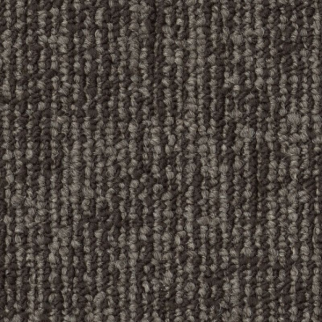 Shaw Floors Engrain Foundational SHAW