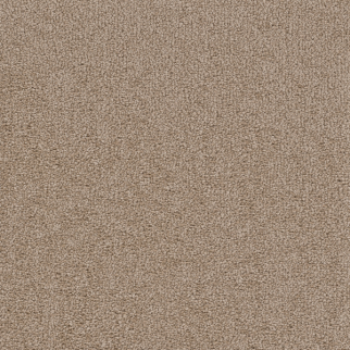 Dreamweaver Carpet Cape Cod Mushroom DREAMWEAVER