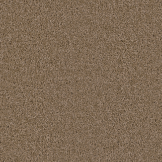 Dreamweaver Carpet Broadcast Plus Sandstone DREAMWEAVER