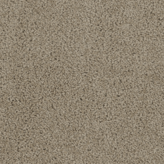 Dreamweaver Carpet Tracker Sandstone DREAMWEAVER