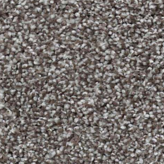 Shaw Floors What's Up Bear Mountain SHAW