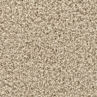Mohawk Carpet Gentle Path Malibu Beach Mohawk