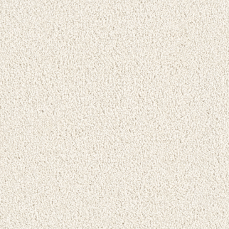 Dreamweaver Carpet East Hampton Pearlesque DREAMWEAVER