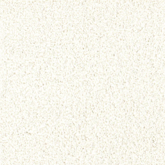 Dixie Home Spring Break Beach