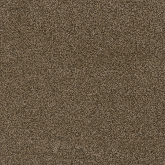 Dreamweaver Carpet Hot Pursuit Bronzite DREAMWEAVER
