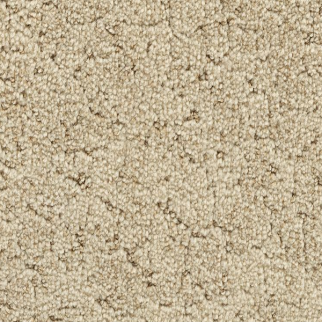 Godfrey Hirst Carpets Inspiring Selection Nutria GODFREY HIRST