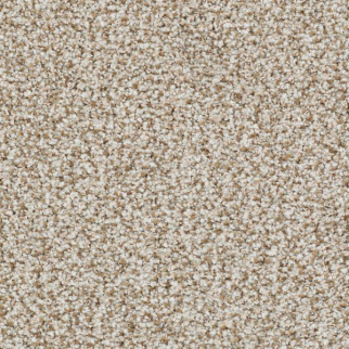 Masland Carpets St Augustine Amazing Masland