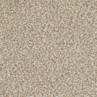 Masland Carpets Sunset Key Amazing Masland